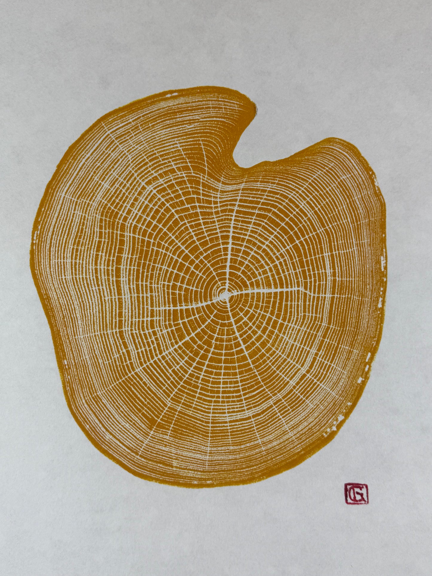 GrilloWoodPrint aus Robinienholz, handgedruckt mit einer gelben Relief-Ink-Mischung auf hochwertigem Papier.