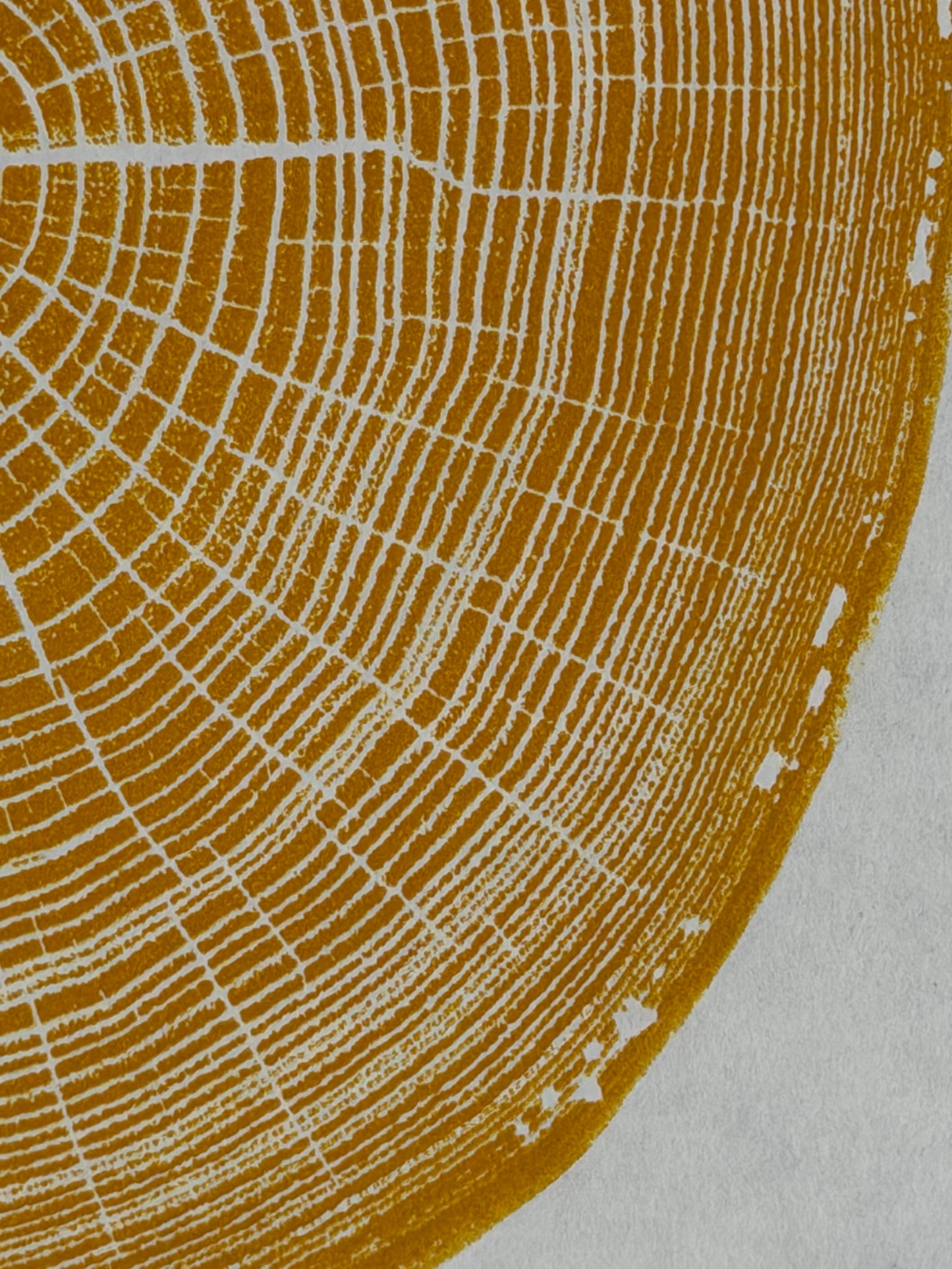 GrilloWoodPrint aus Robinienholz, handgedruckt mit einer gelben Relief-Ink-Mischung auf hochwertigem Papier.