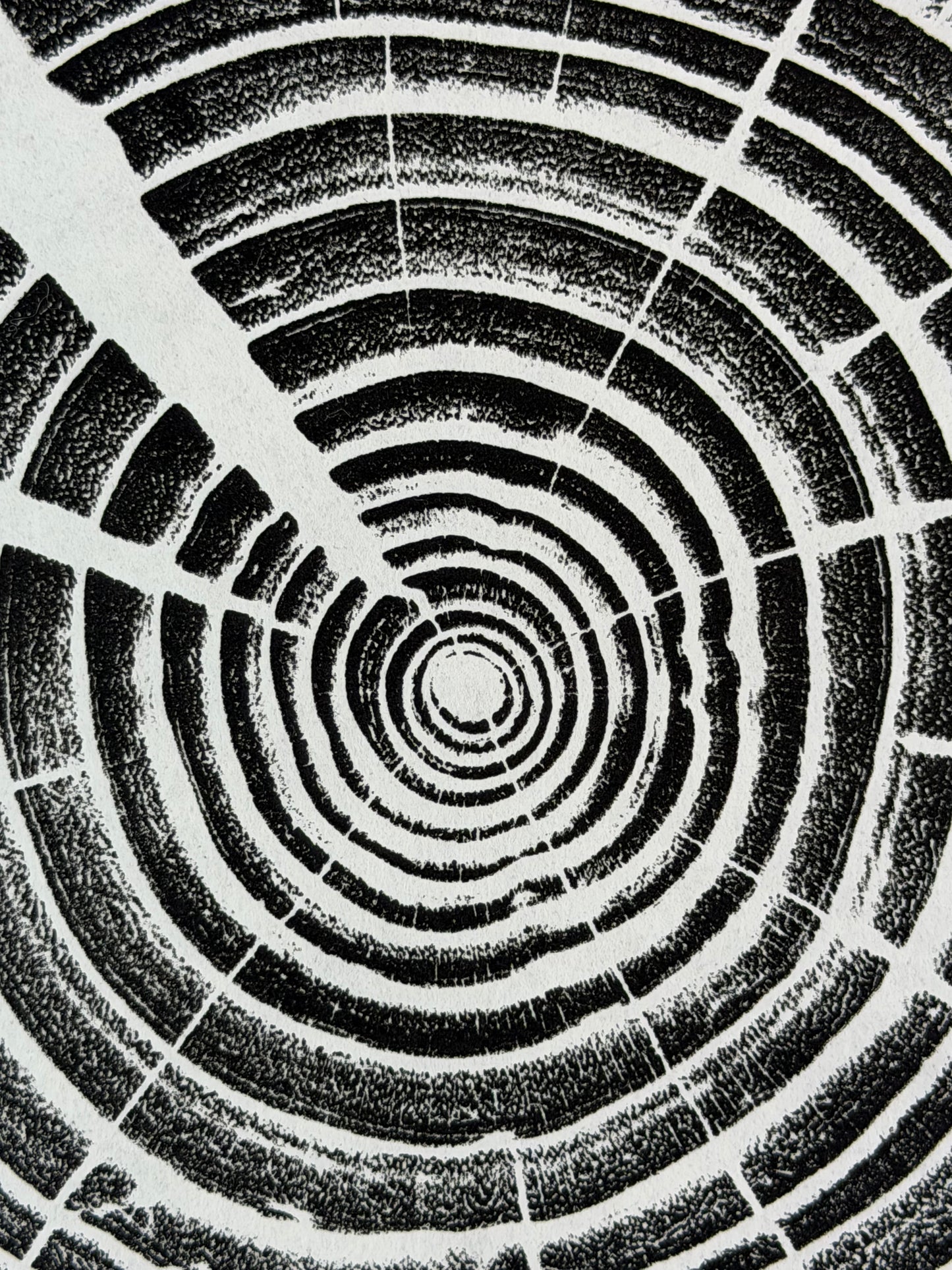 GrilloWoodPrint aus Eschenholz, handgedruckt mit einer schwarzen Relief-Ink-Mischung auf hochwertigem Papier.
