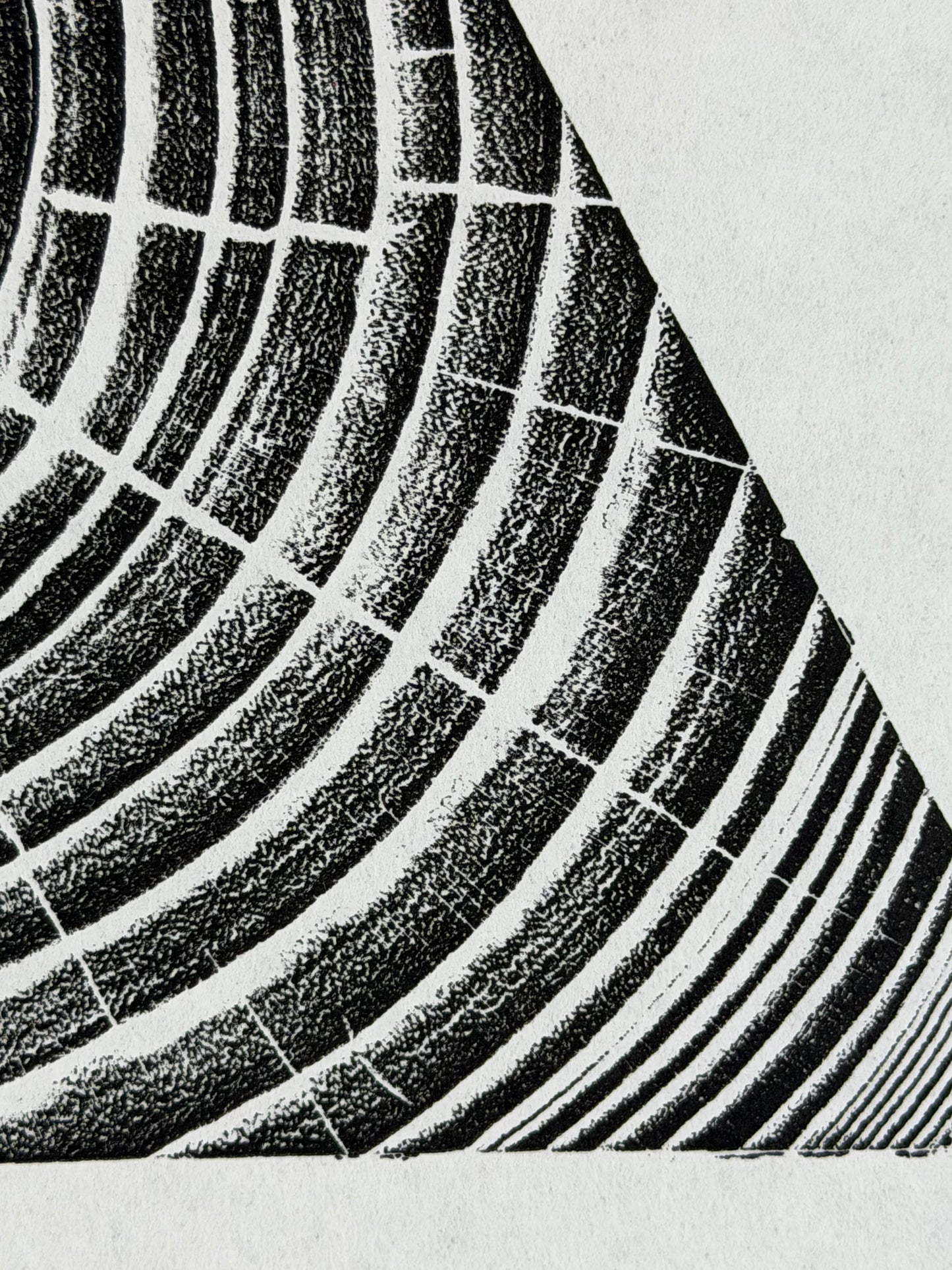 GrilloWoodPrint aus Eschenholz, handgedruckt mit einer schwarzen Relief-Ink-Mischung auf hochwertigem Papier.