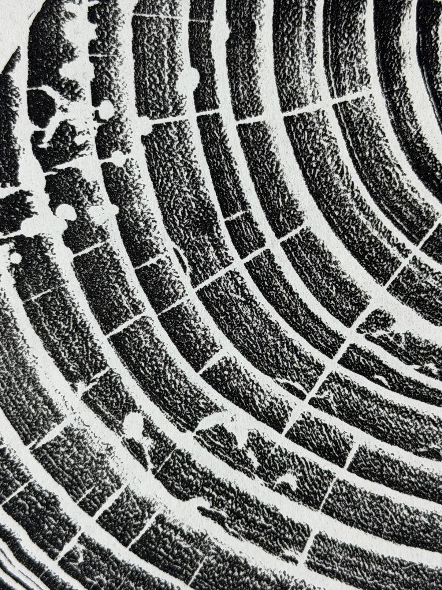 GrilloWoodPrint aus Eschenholz, handgedruckt mit einer schwarzen Relief-Ink-Mischung auf hochwertigem Papier.