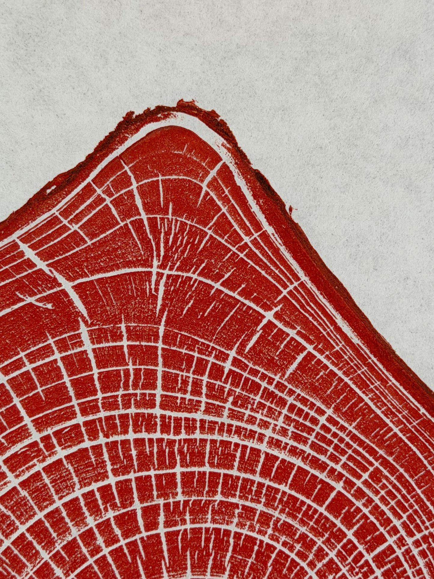 Red raindrop GrilloWoodPrint aus Kirschholz, handgedruckt mit einer rot orangen Relief-Ink-Mischung auf hochwertigem Papier.