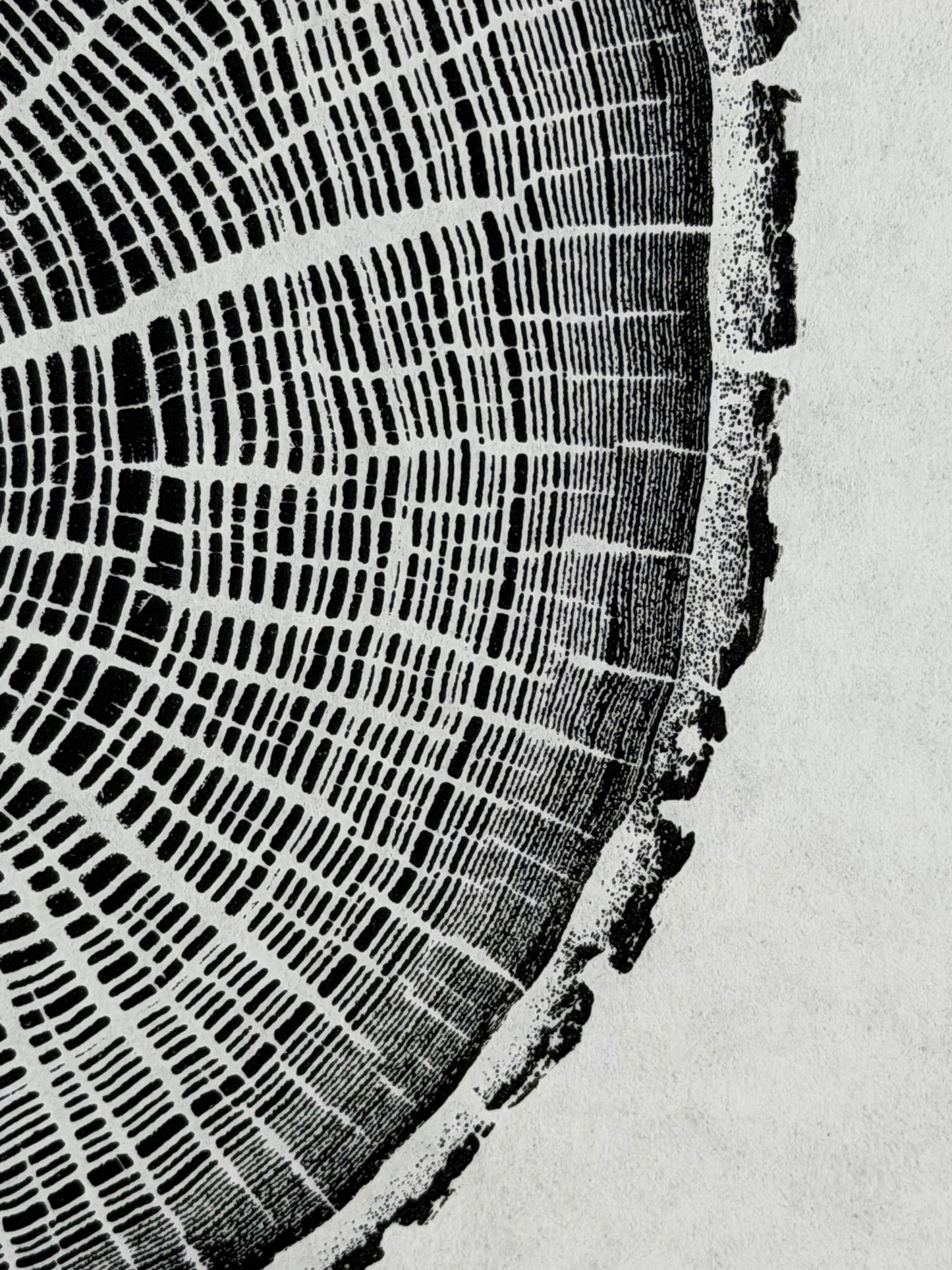 Schwarz und weiß GrilloWoodPrint aus Eichenholz, handgedruckt mit einer schwarzen Relief-Ink-Mischung auf hochwertigem Papier.