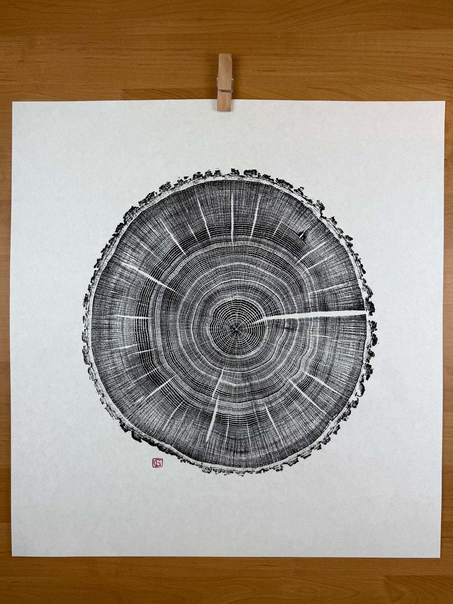 Schwarz und weiß GrilloWoodPrint aus Eichenholz, handgedruckt mit einer schwarzen Relief-Ink-Mischung auf hochwertigem Papier.
