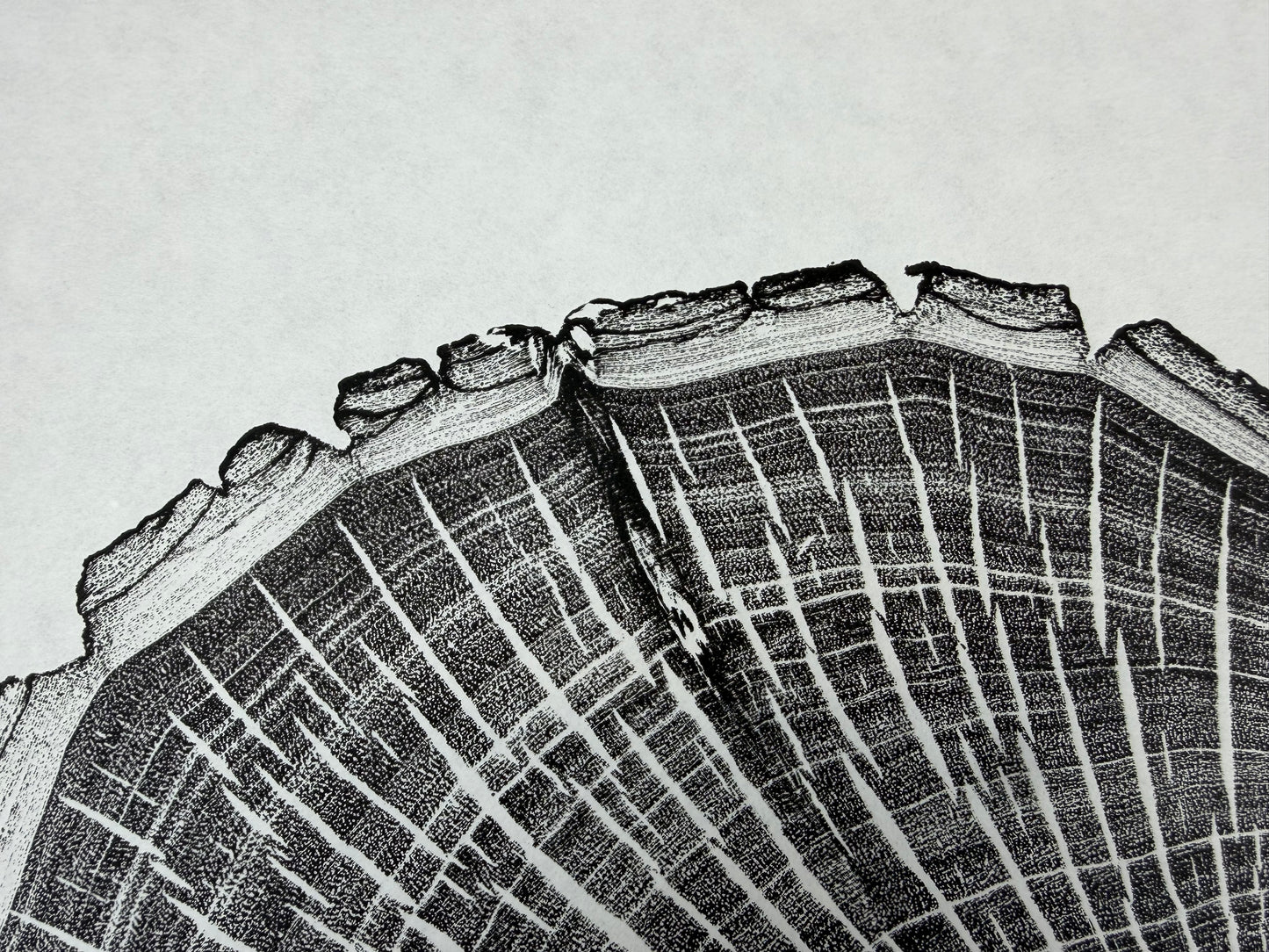 Schwarz und weiß GrilloWoodPrint aus Kirschholz, handgedruckt mit einer schwarzen Relief-Ink-Mischung auf hochwertigem Papier.