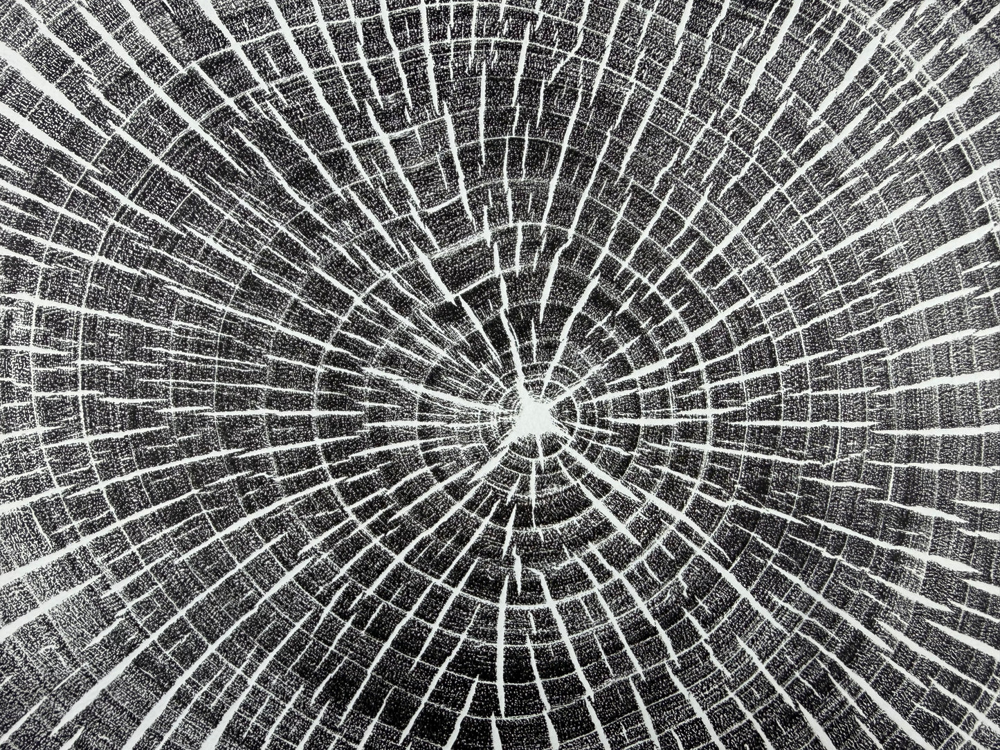 Schwarz und weiß GrilloWoodPrint aus Kirschholz, handgedruckt mit einer schwarzen Relief-Ink-Mischung auf hochwertigem Papier.