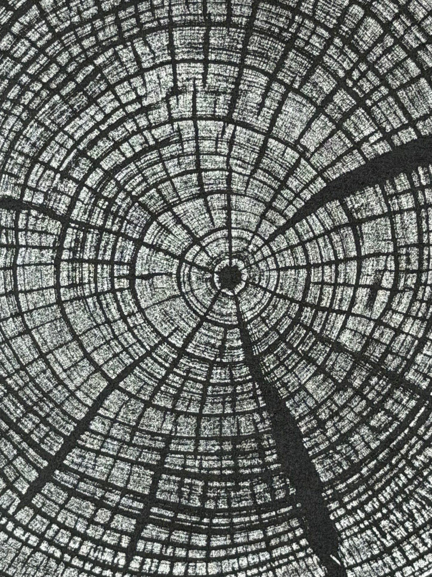 Silber Surfer GrilloWoodPrint aus Kirschholz, handgedruckt mit einer silbernen Relief-Ink-Mischung auf schwarzen hochwertigem Papier.