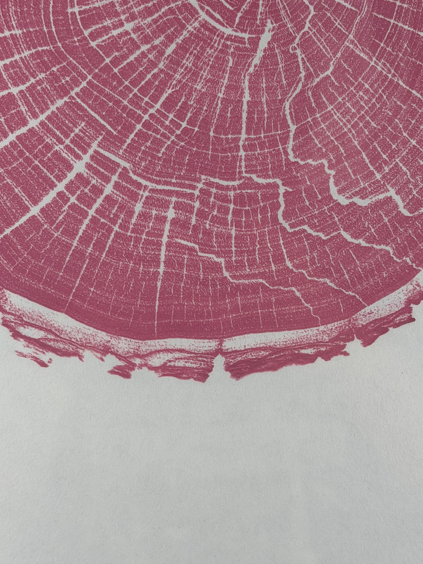 GrilloWoodPrint aus Nussbaumholz, handgedruckt mit einer pink-roten Relief-Ink-Mischung auf hochwertigem Papier im schwarzen Holzrahmen.