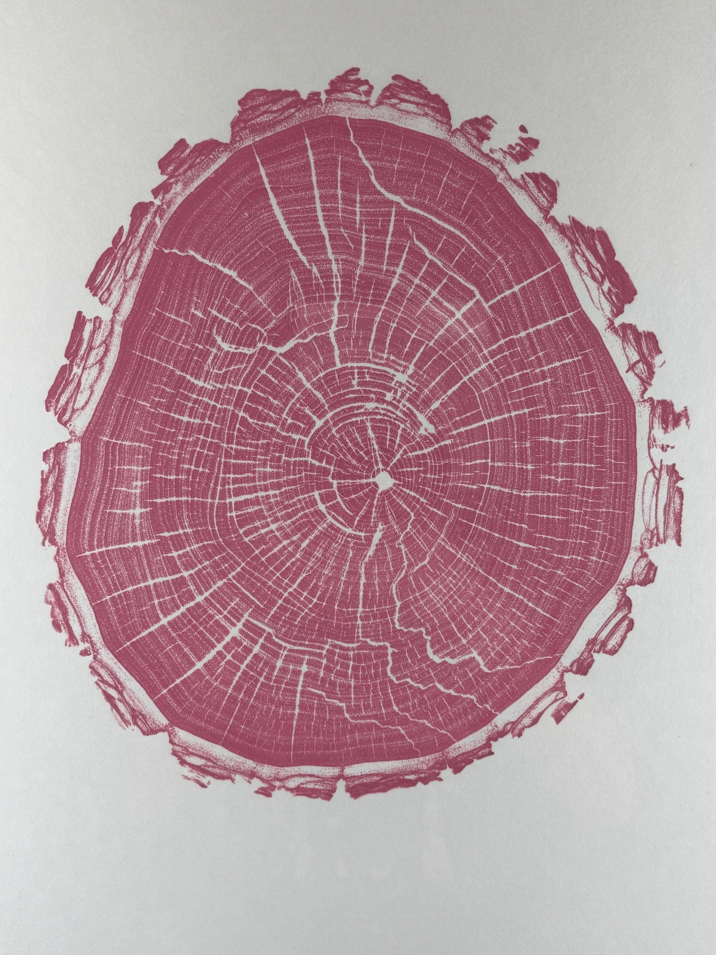 GrilloWoodPrint aus Nussbaumholz, handgedruckt mit einer pink-roten Relief-Ink-Mischung auf hochwertigem Papier im schwarzen Holzrahmen.