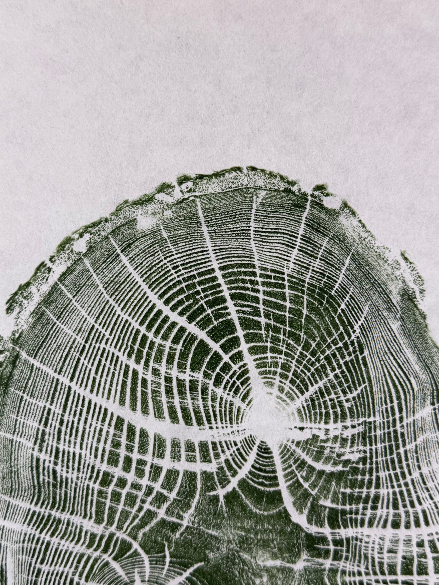 GrilloWoodPrint aus Eichenholz, handgedruckt mit einer grünen Relief ink Mischung